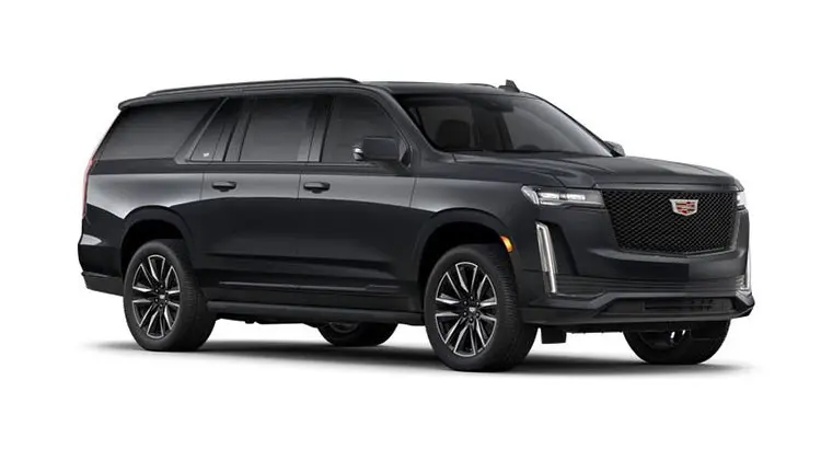 Business Van/SUV